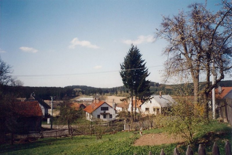Vyklízení Tasovice
